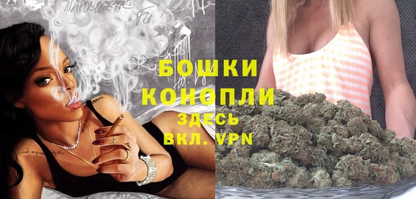 дживик Бугульма