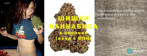 стафф Бронницы