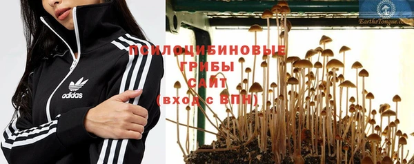 мяу мяу кристалл Бородино