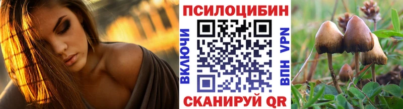 Псилоцибиновые грибы ЛСД  купить наркотики сайты  Бокситогорск 
